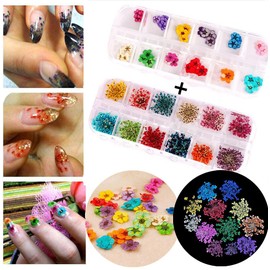Nail Art Accessories 3 Dimensional Nail Dry Flowers 60 Stars 60 5 Flowers 12 Colors