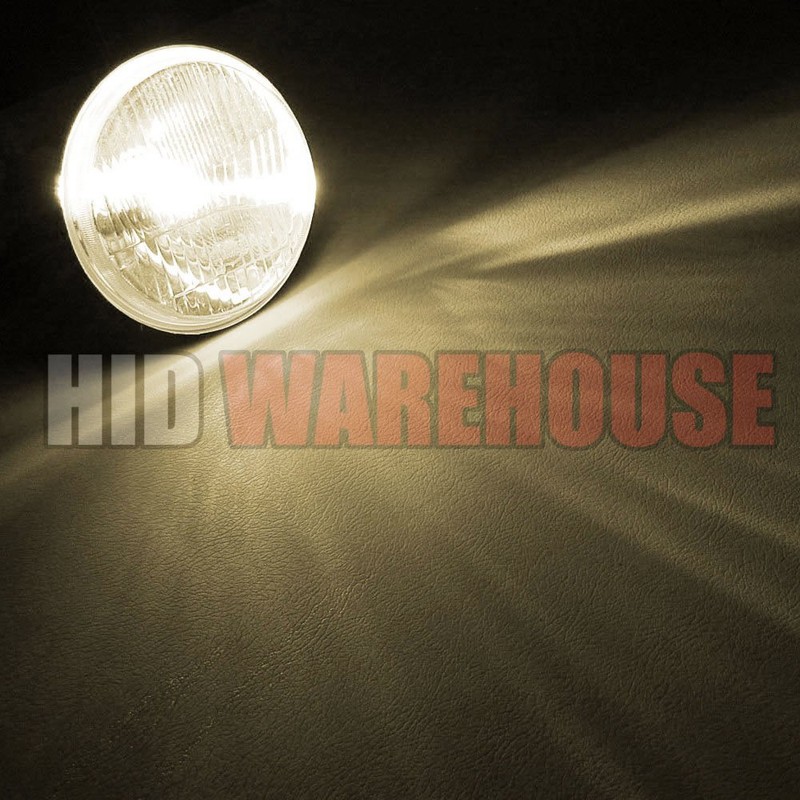 HID-Warehouse HID Xenon Replacement Bulbs - H7 4300K - Bright