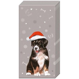 Boston International Bulk 4-Ply Pocket Tissues, Bundle of 6 Packs of 10 Tissues (I Wuff You)