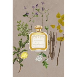 Pew Despagna Eau de Cologne 100ml 6315964006900 / 퓨 데스파냐 오드코롱 100ml 6315964006900