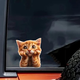 2 pcs Thinking Cat Funny Car Bumper Sticker,6 Inch Vinyl Decal, Waterproof,Die-Cut for Cars,Windows,Laptops
