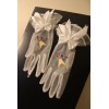 Masonic ( Eastern Star ) Past Matron Gloves