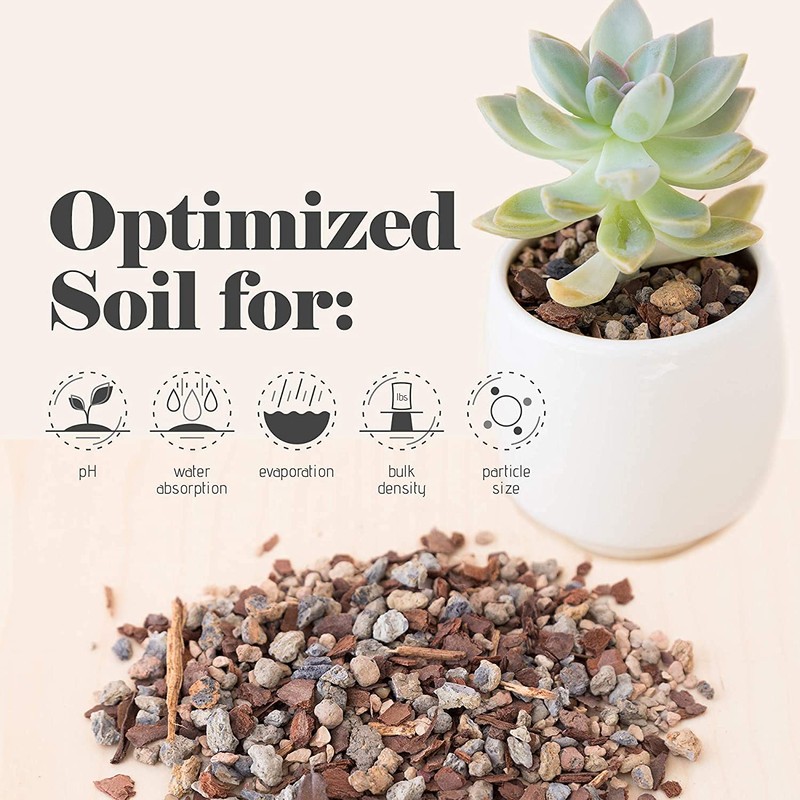Bonsai Jack Succulent, Cactus and Bonsai Soil - Jacks Gritty