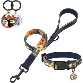 PawView Dog Collar and Leash Set with Smart ID Tag – Adjustable Soft Padded Heavy Duty Comfortable Collar and Leash Set with Cute Pop Art Doodle Design for Small Medium Large Dogs (Dark Blue, Medium)