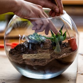 Choya Natural Wooden Log for Climbing and Chewing, Wood Aquarium Driftwood Branch, Terrarium Decorations for Turtles, Hermit Crab, Reptile, and Small Animals, Pack of 3, 4 Inches