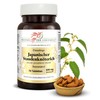 Japanese knotweed tablets, 600 mg active ingredient, Polygonum cuspidatum tablets,