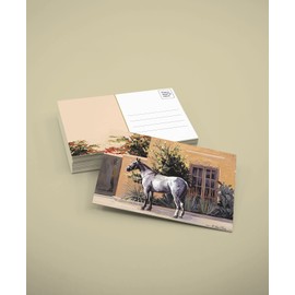 Stonehouse Collection Village Horse Postcards - 4 x 6 Western Postcards - 40 Equestian Postcards (Horse #1)