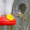 Hummingbird Feeder Parts, 16 PCS Hummingbird Feeder Replacement Flowers Yellow,