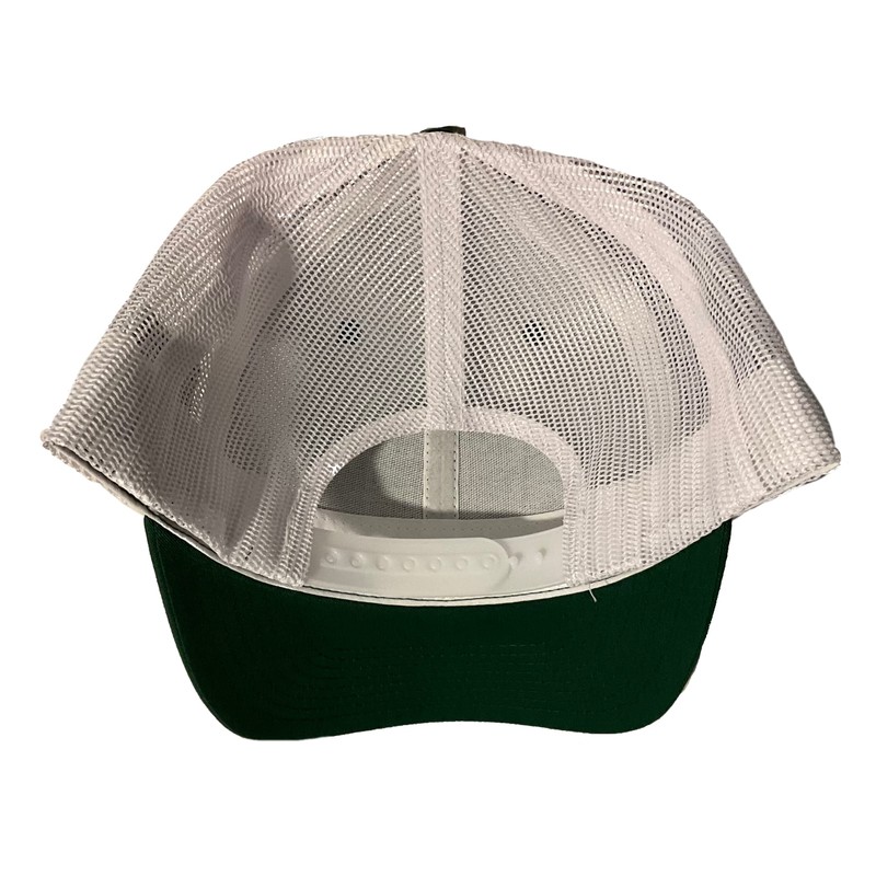 Mexico Leon Soccer 2 Logos hat Green White mesh