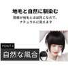 Wig, Bangs Wig, Thick, Bangs, Extension, Partial Wig, Hairpiece, Small