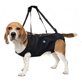 KAJILE Dog Lift Harness, Dog Carry Strap, Pet Support for Rehabilitation Sling Lift Straps for Old, Disabled, Joint Injuries, Arthritis, Black, M
