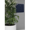 Trendi 1 Gang 1 Way Artistic Modern Glossy 10 Amp