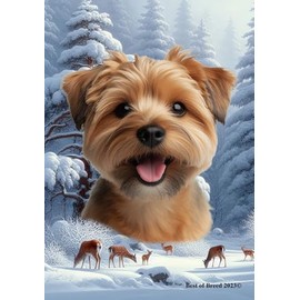 Norfolk Terrier - Best of Breed Winter Wonderland Garden Flag 12" x 17"