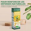Organic Santarome - Organic Immune Defenses | Dietary supplement immunity | Strengthens Natural Defenses - Organic Plants - 3 Buds - Blackcurrant, Rosehip, Alder | 30 ml | Made In France | Vegan