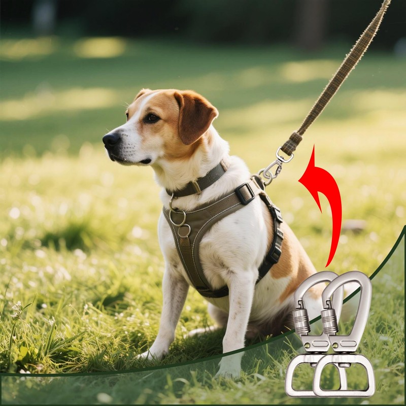 XQIGI Locking Dog Leash Clips 2 PCS, Snap Hook Quick