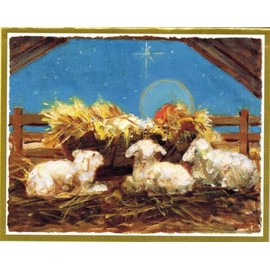 Caspari Manger Scene with Baby Lambs Mini Boxed Christmas Cards 15 Cards and 16 Envelopes