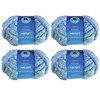 MSD&FT 4 Skeins Chunky Chenille Yarn Blanket Yarn (202408)