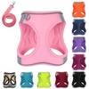 PWOD Dog Harness with Leash Set, No-Pull Step-in Reflective Pet