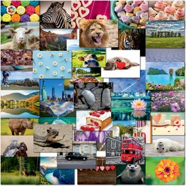 doodlecards Pack 40x Mixed Variety Postcards. Animals, Scenes, Floral, Flowers, Hearts, Cakes, UK Iconic Landmarks. 100% Recyclable. Made in the UK.