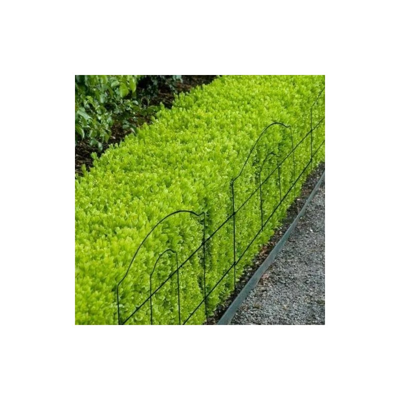 Vigoro 18 in. H x 10 ft. L Cathedral Steel