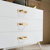 SNBTLA Solid Brass Cabinet Pull with Backplate, 2 Pack Brushed