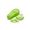 Chayote Plant 8” With Pot Live Plant Ready To Plant