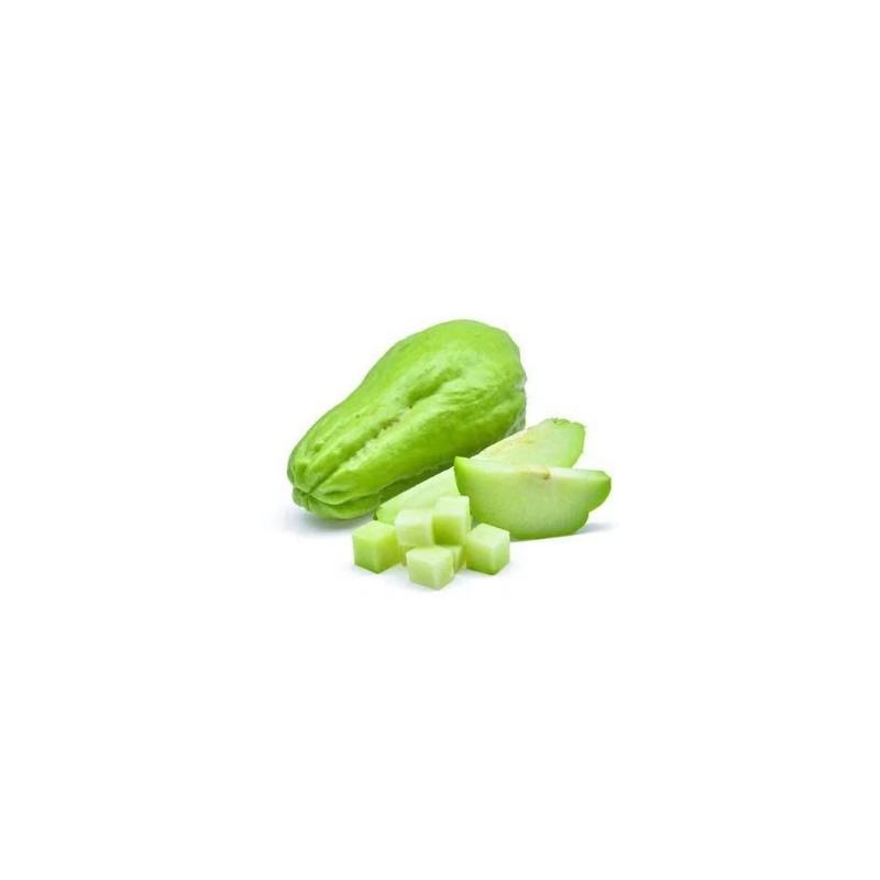 Chayote Plant 8” With Pot Live Plant Ready To Plant