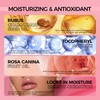 Anglicolor 2PC Lip Glow Oil Hydrating 6 Colors, Moisturizing &