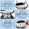 2PCS Ceramic Elevated Cat Bowls, Raised Cat Food Bowl Whisker