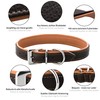 Schnüffelfreunde Fun Line Leather Dog Collar for Large, Medium and