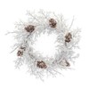 Melrose Iced Branch with Pinecone Artificial Christmas Wreath, 24-Inch, Unlit