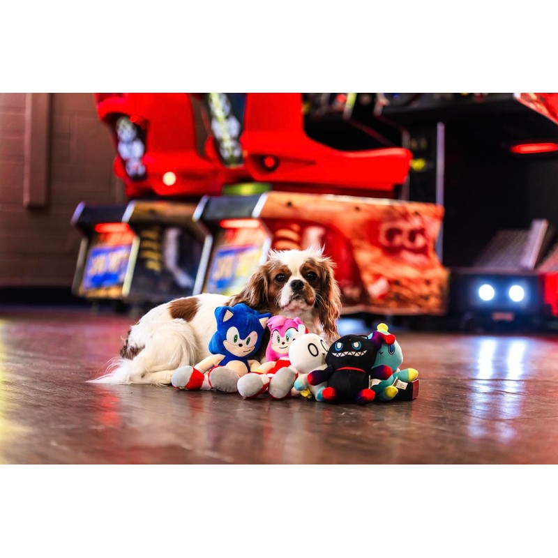 Multipet Sonic Tails Plush Dog Toy, 9-inch