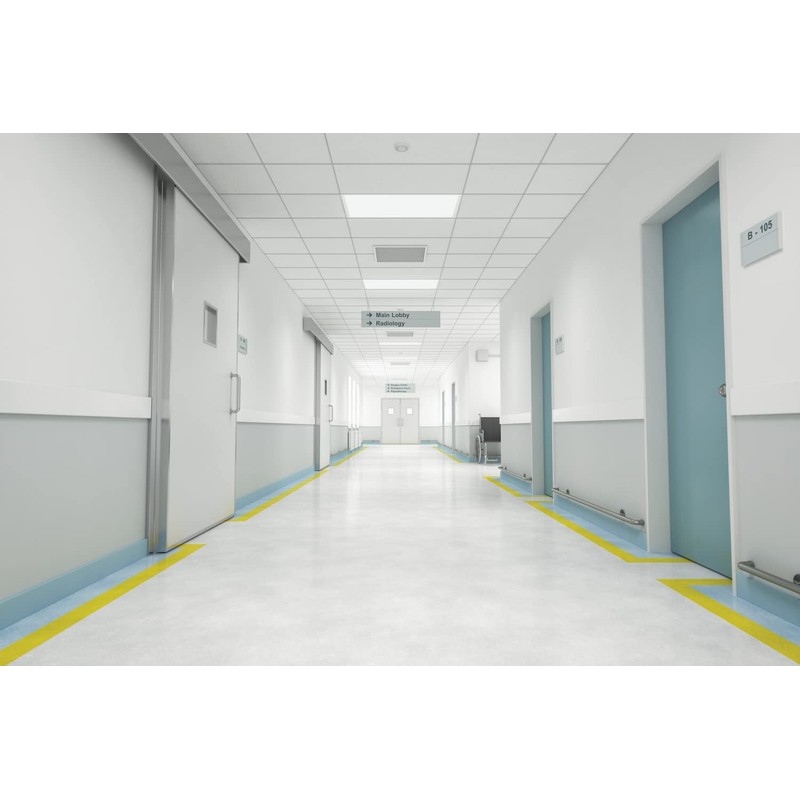 Lithonia Lighting CPANL 2x4 LED Flat Panel Light, 2 ft.