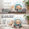2-in-1 Soft Inflatable Dog Cone Collar Alternative with Enhanced Anti-Licking