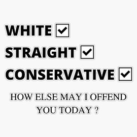 Republican Gifts Men Women White Straight Conservative Funny Sticker Vinyl Decal Bumper Sticker 5"