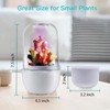 Ronjregan Smart Planter with Timer and Fan, Small Terrarium Kit