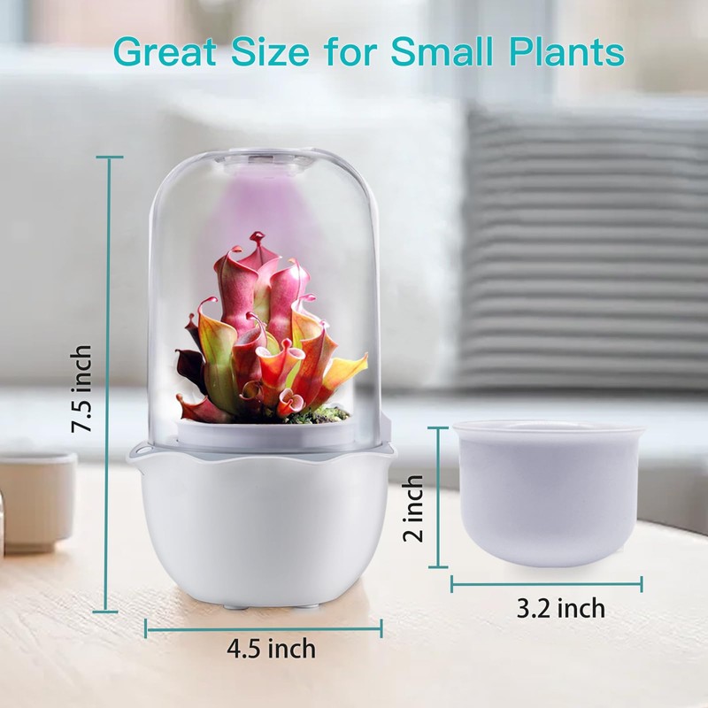 Ronjregan Smart Planter with Timer and Fan, Small Terrarium Kit