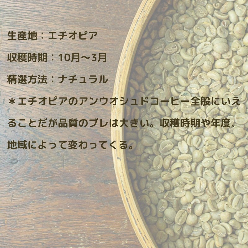 Ethiopian Mocha Recempty Coffee Raw Beans (GRATEFULCOFFEE) (800 g, Non