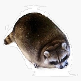 Fat Raccoon Vinyl Waterproof Sticker Decal Car Laptop Wall Window Bumper Sticker 5"