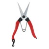 Takagi Sunflower Factory x Takagi Bud Pruning Shears 8 in