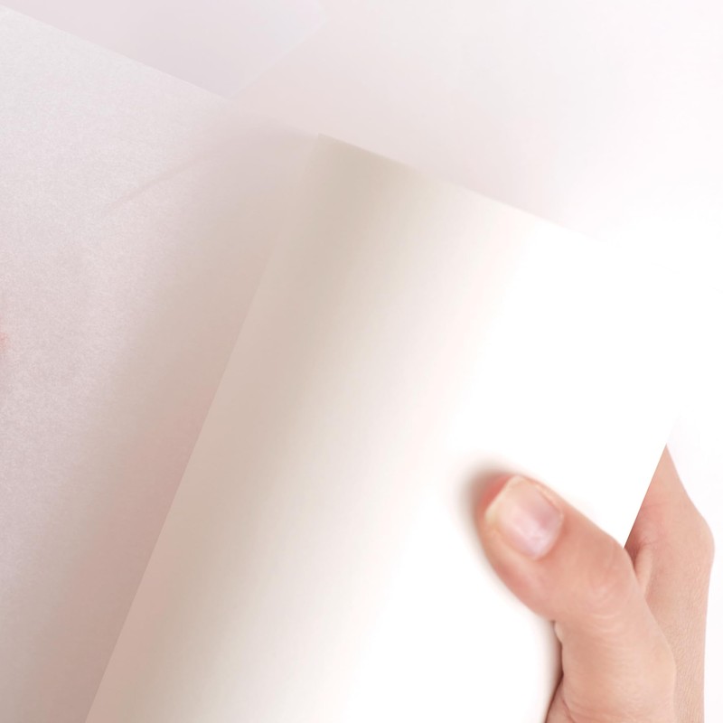 Tervakoski Detail Paper Roll 25gsm, Clear, 297mm x 100m, For