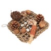Bird Climbing Net Rattan Ball Pine Cone Corn Cob Nuts