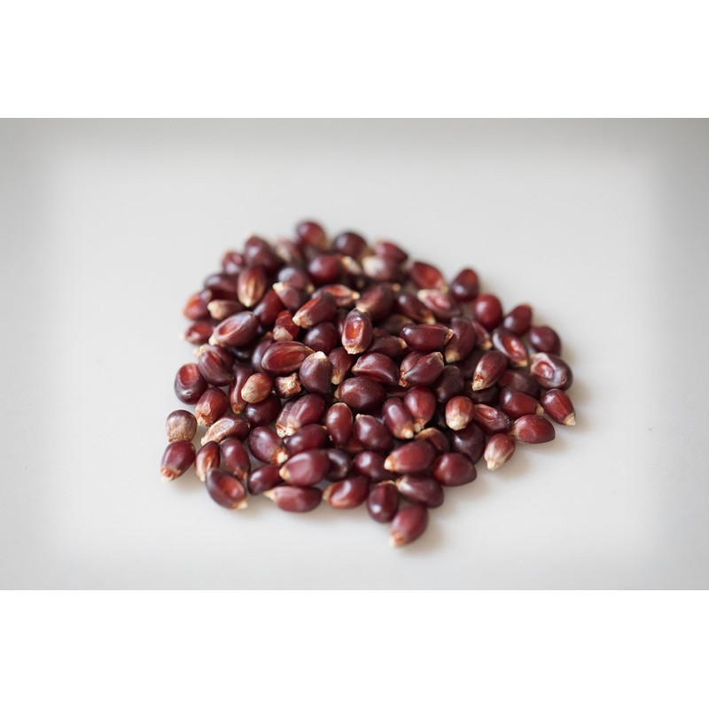 Amish Country Popcorn | 2 lbs Bag | Red Popcorn