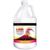 Acid LAVA Rinse, Organic Acid Carpet Cleaner for Hot Water