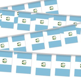 32FT Guatemala Pennant Small Flag Bunting,30 PCS Mini String Banner Stripes Guatemalan Decor Rectangle for Holiday Restaurant Home Party School