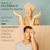 Crema Natural para el Cuerpo a base de Caléndula -