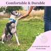JOYPAWS Dog Muzzle, Breathable Soft for Small Dogs to Anti