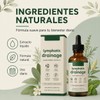 Gotas de Drenaje Linfático - Fórmula Natural y Suave, Drenaje