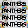 PANTHERS - Confetti Team Name in 12 Metallic Colors. Includes