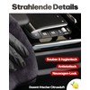 KESTRAL® Car cockpit care, plastic detailer with matte effect, removes